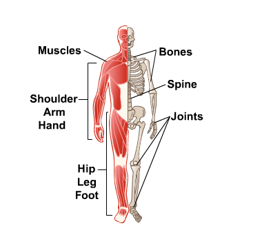 Rolfing for bone and muscle pain